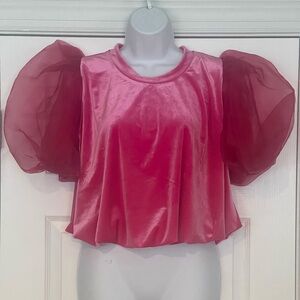 Anthropologie /Maeve velvety looking.